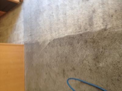 Top Carpet Cleaners in Florence | Residential & Commercial Services