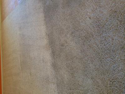 Top Carpet Cleaners in Florence | Residential & Commercial Services