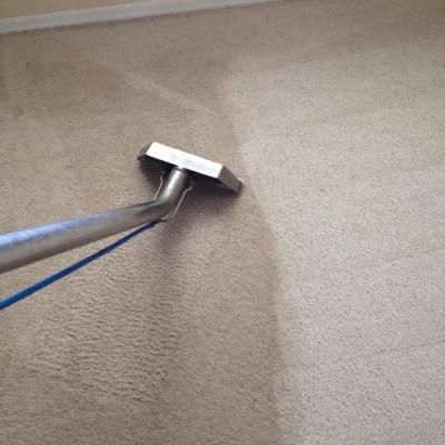 Top Carpet Cleaners in Florence | Residential & Commercial Services